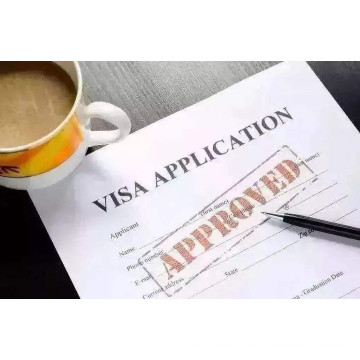 Chinese Tourist Visa Application